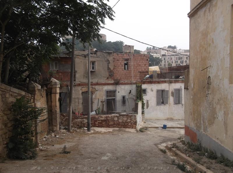 ORAN JUILLET 2012 RUE MONTEBELLO DE BEDJI BADROU (1).jpg